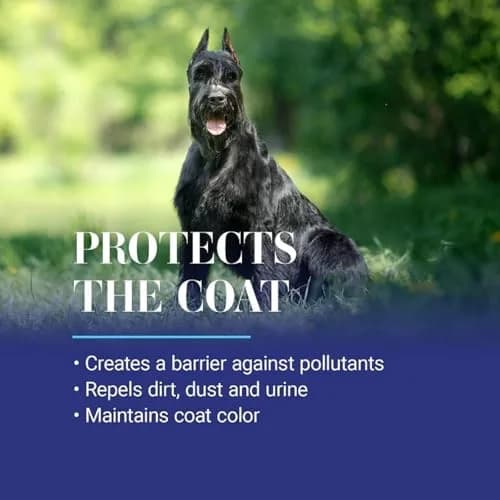 Chris Christensen Ice on Ice Detangler & Finishing Dog Spray 16 oz | Conditions & Protects Coat thumbnail 6