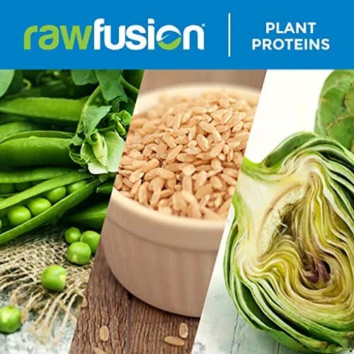 SAN Rawfusion 4.1 Pound Plant Based Protein Powder Natural Chocolate | 21g Vegan, Low Net Carbs, Gluten-Free, Lactose-Free, Soy-Free, Non-GMO thumbnail 6