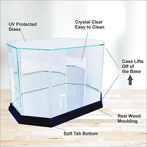 Perfect Cases MLS Octagon Soccer Ball Glass Display Case, Black | UV Protected Glass & Wood Molding thumbnail 4