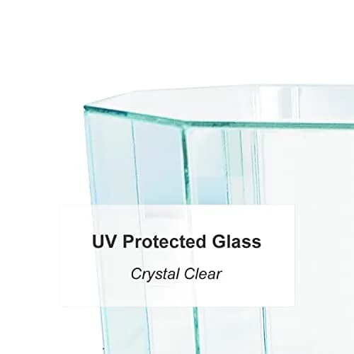 Perfect Cases MLS Octagon Soccer Ball Glass Display Case, Black | UV Protected Glass & Wood Molding thumbnail 3