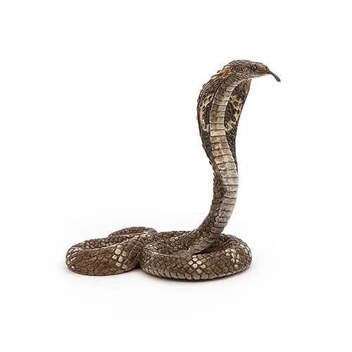 Papo Realistic King Cobra Figurine, Wild Life Collection | Kids Ages 3+ thumbnail 2