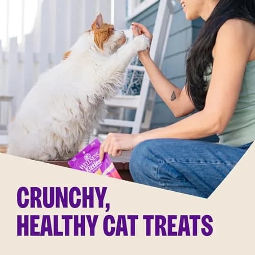Wellness Kittles Crunchy Cat Treats, Tuna & Cranberry Flavor, 2 oz Bag | Grain-Free Dental Care for All Lifestages thumbnail 2