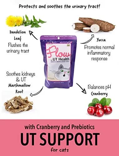 In Clover Flow Soft Chews for Cats 2.1oz | Supports Urinary Health Naturally thumbnail 2
