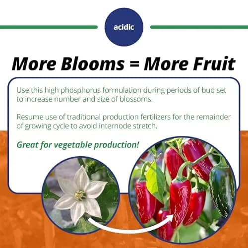 Jack's Classic 10-30-20 Blossom Booster Water-Soluble Fertilizer 1.5lb | Promotes Bright Flowers & Healthy Growth thumbnail 4
