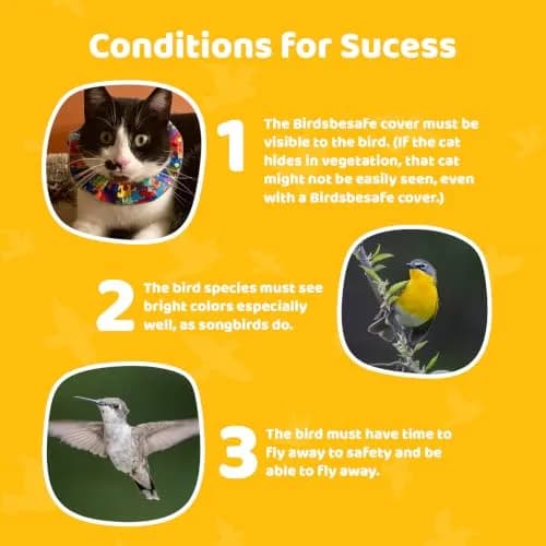 Birdsbesafe Cat Collar Cover & Breakaway Collar Set (3 Covers + 1 Collar) | Helps Birds See Cats thumbnail 9