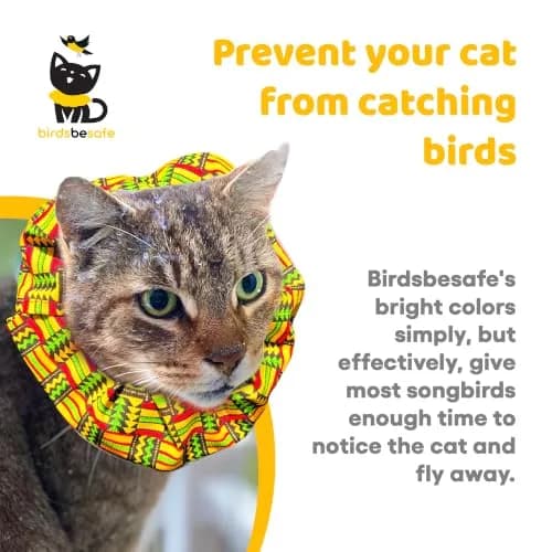 Birdsbesafe Cat Collar Cover & Breakaway Collar Set (3 Covers + 1 Collar) | Helps Birds See Cats thumbnail 2
