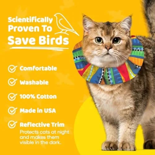 Birdsbesafe Cat Collar Cover & Breakaway Collar Set (3 Covers + 1 Collar) | Helps Birds See Cats thumbnail 3