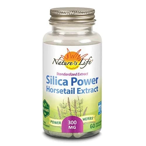 ZAND Silica-Powder Capsules 60 Count | Mineral for Circulation & Bones thumbnail 1