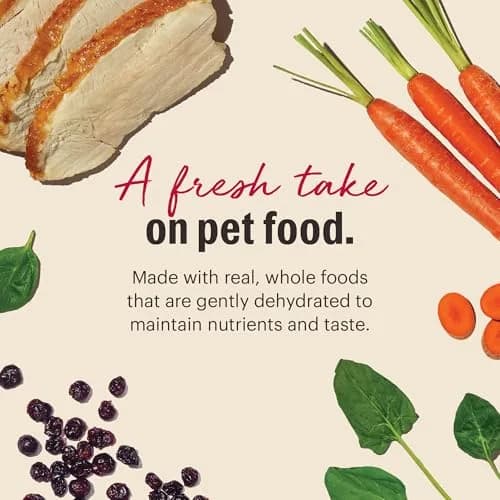 The Honest Kitchen Wholemade Grain Free Turkey Recipe Dehydrated Dog Food 2 lb (0.91 kg) | Supports Digestion & Coat thumbnail 3