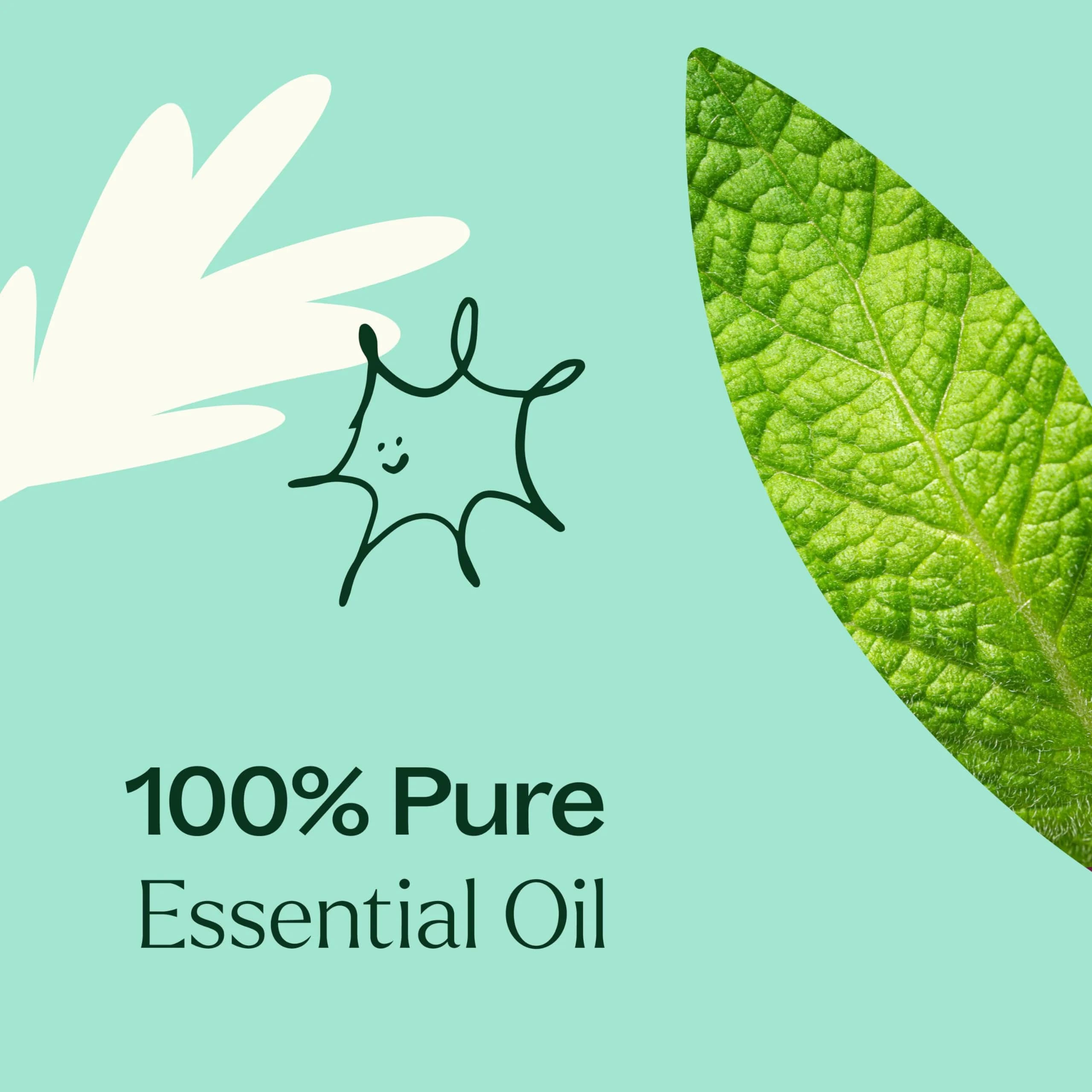 Plant Therapy Tension Relief Essential Oil Blend 10 ml (0.33 Fl Oz) | Soothing Headache Relief - view 5