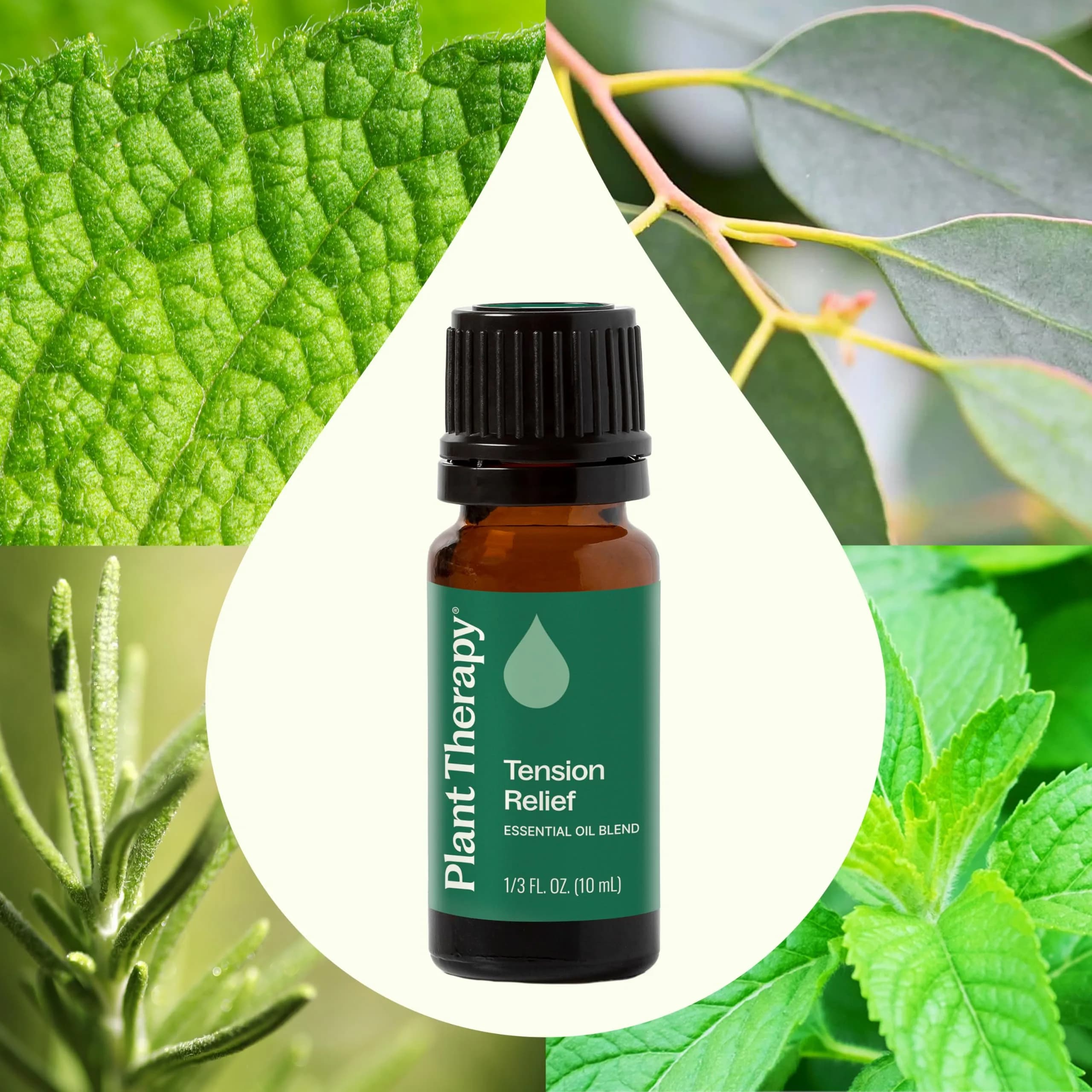 Plant Therapy Tension Relief Essential Oil Blend 10 ml (0.33 Fl Oz) | Soothing Headache Relief - view 3