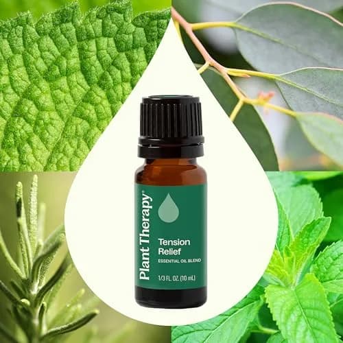 Plant Therapy Tension Relief Essential Oil Blend 10 ml (0.33 Fl Oz) | Soothing Headache Relief thumbnail 3