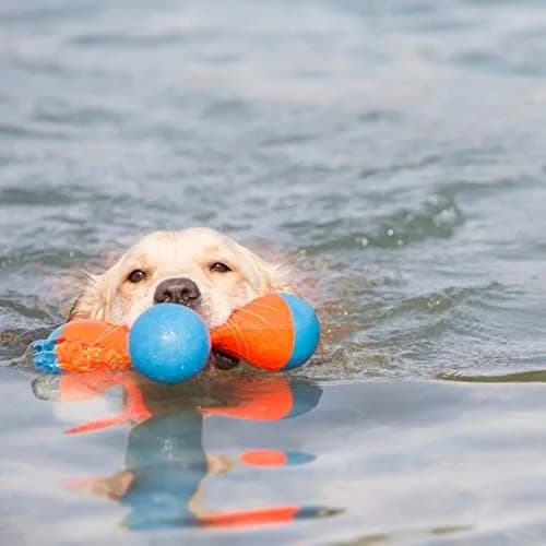 Chuckit! Tri-Bumper Fetch & Tug Dog Toy Medium | Tumbles, Floats, High-Visibility thumbnail 5