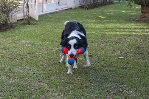 Chuckit! Tri-Bumper Fetch & Tug Dog Toy Medium | Tumbles, Floats, High-Visibility thumbnail 9