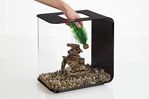 biOrb Green Feather Fern Set Small Artificial Plant | Adds Natural Look to Aquariums thumbnail 2