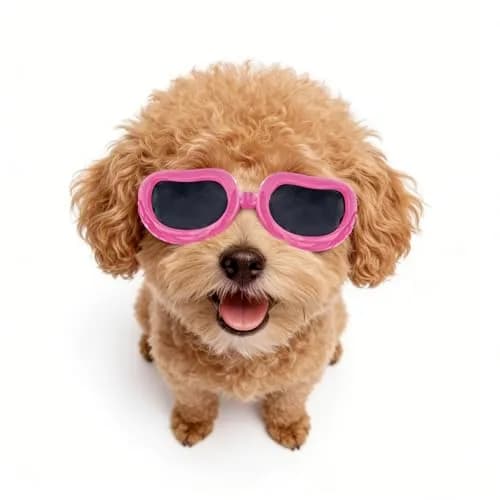 Enjoying Classic Pink Small Breed Dog Goggles - UV Protection, Windproof & Adjustable thumbnail 1