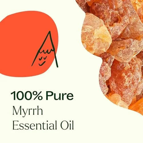 Plant Therapy Myrrh Essential Oil 5 mL (0.17 Fl Oz) | Pure, Undiluted, USDA Organic thumbnail 5