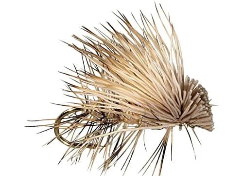 Flies Direct Elk Hare Caddis Brown Assortment 12 Flies | Hand-tied Trout Fishing Flies thumbnail 1