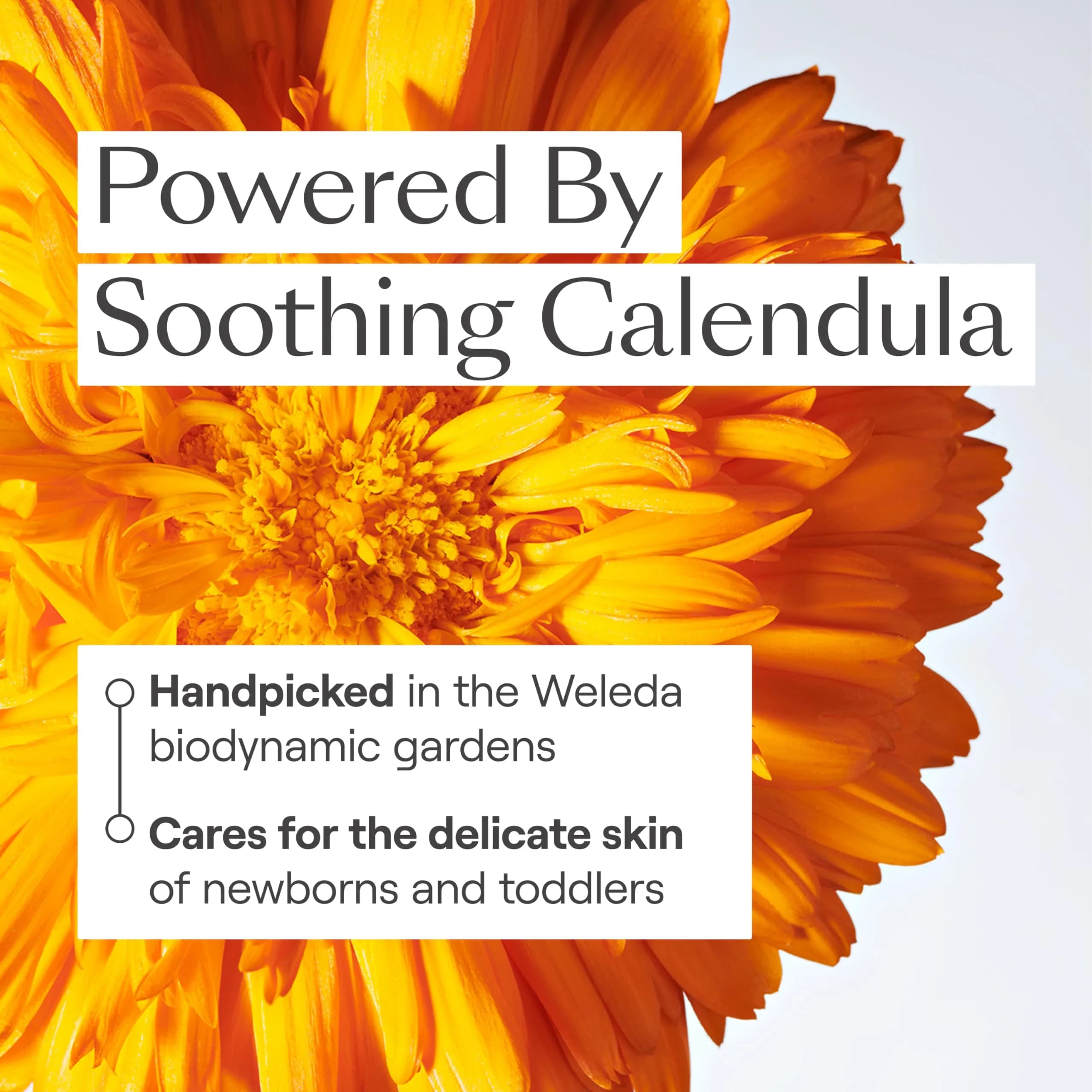 Weleda Baby Calendula 2-in-1 Gentle Shampoo and Body Wash 200ml (6.8 Fl Oz) | Tear-Free Cleanser for Sensitive Skin - view 4