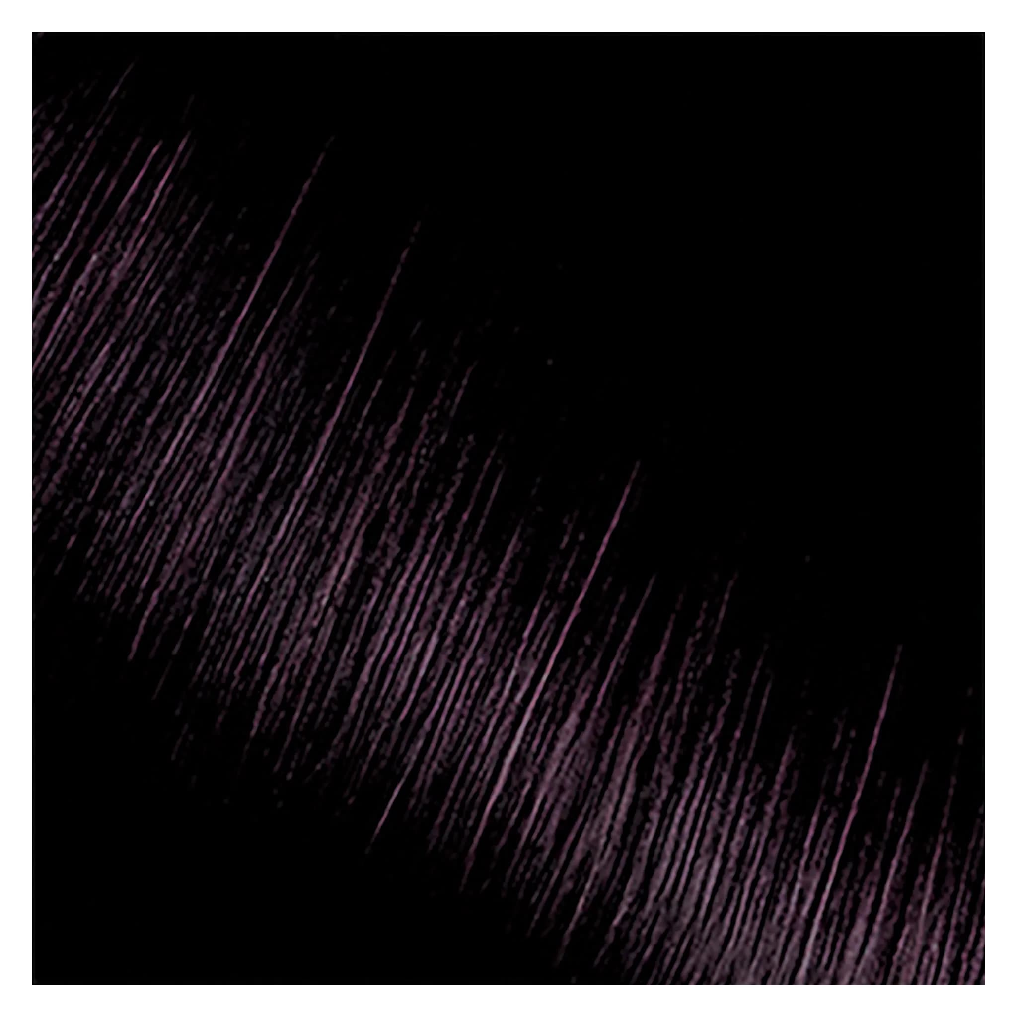 KISS Express Color Semi-Permanent Hair Color Jet Black 103.5ml (3.5 Fl Oz) | Ammonia-Free & Peroxide-Free Formula - view 4