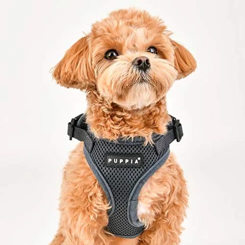 Puppia RiteFit Harness with Adjustable Neck, X-Large, Purple | Well-Designed Dog Vest Harness for Comfort & Fit thumbnail 4