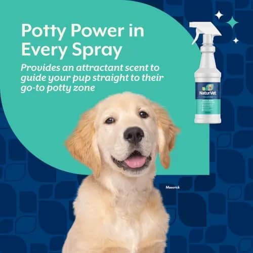 NaturVet Potty Here Training Aid Spray for Puppies & Dogs - 32 oz | Indoor & Outdoor Use thumbnail 3