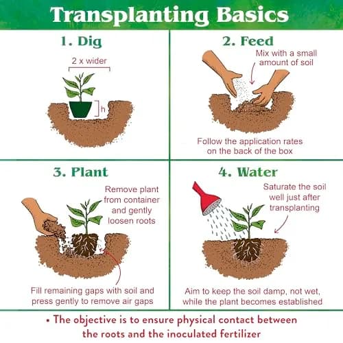 Down To Earth All Natural Fertilizers Organic Bio-Live 25 lb | Organic Bio-Fertilizer with Beneficial Microbes thumbnail 5