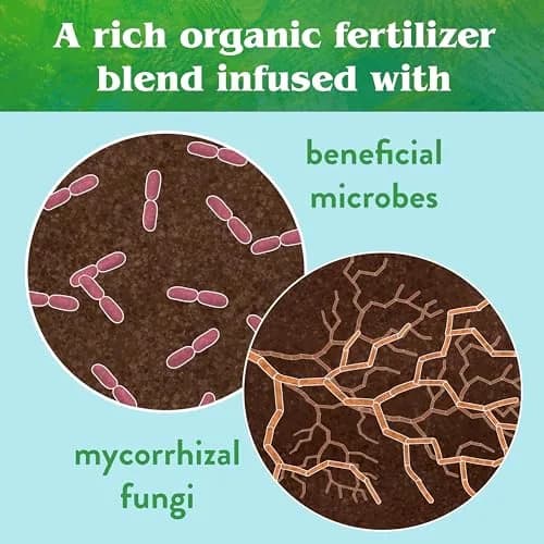 Down To Earth All Natural Fertilizers Organic Bio-Live 25 lb | Organic Bio-Fertilizer with Beneficial Microbes thumbnail 7