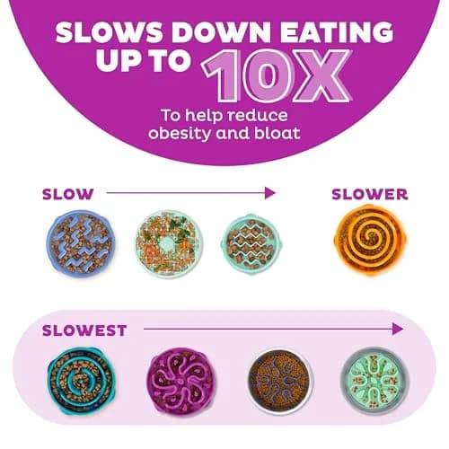 Outward Hound Fun Feeder Slow Bowl Medium 2-Cup Capacity Purple Flower Pattern | Slow Eating Dog Bowl thumbnail 4