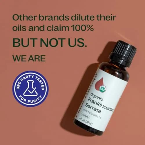 Plant Therapy Organic Frankincense Serrata Essential Oil 30ml (1 Fl Oz) | USDA Certified Pure Aromatherapy thumbnail 5