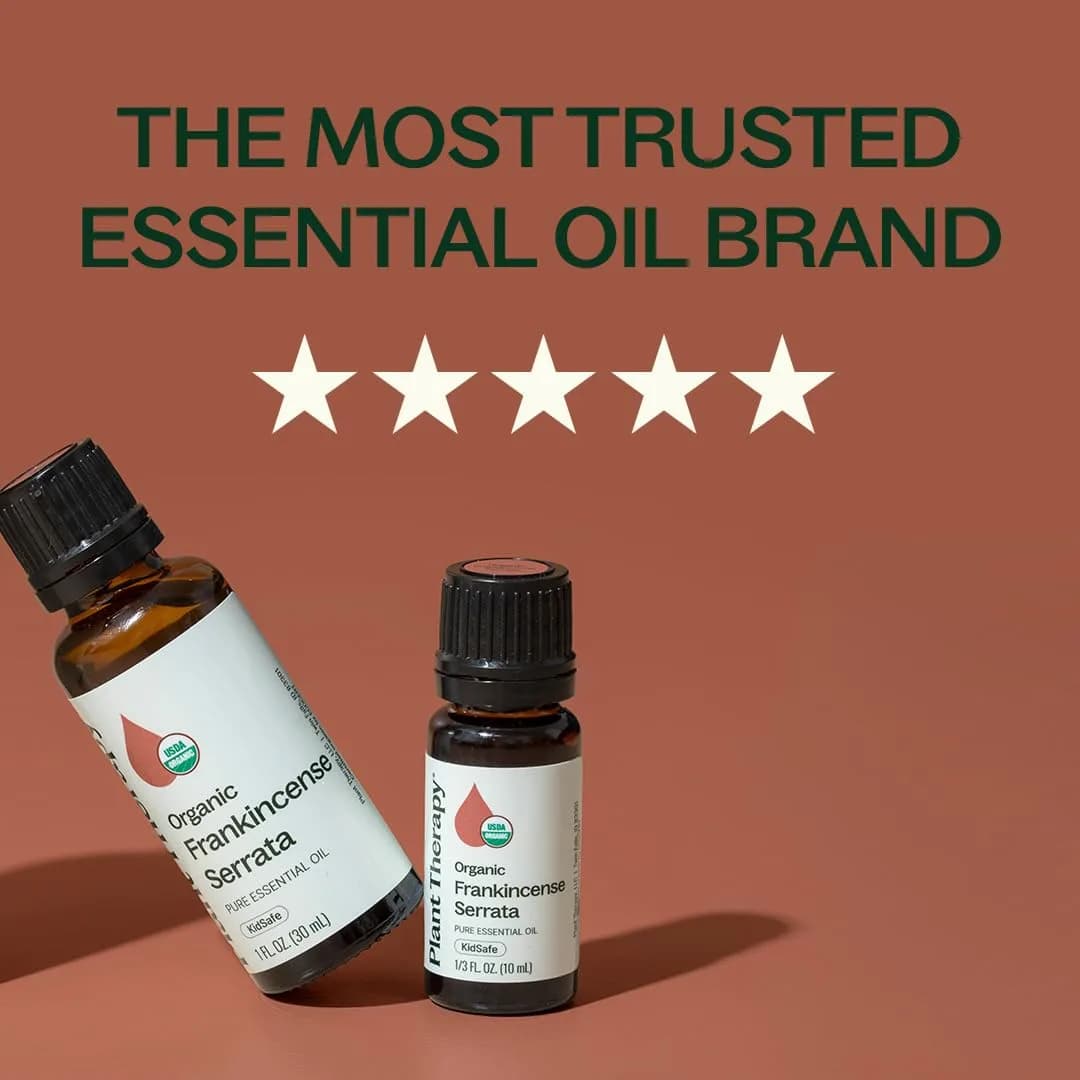 Plant Therapy Organic Frankincense Serrata Essential Oil 30ml (1 Fl Oz) | USDA Certified Pure Aromatherapy - view 3