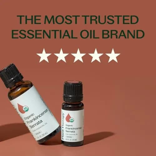 Plant Therapy Organic Frankincense Serrata Essential Oil 30ml (1 Fl Oz) | USDA Certified Pure Aromatherapy thumbnail 3