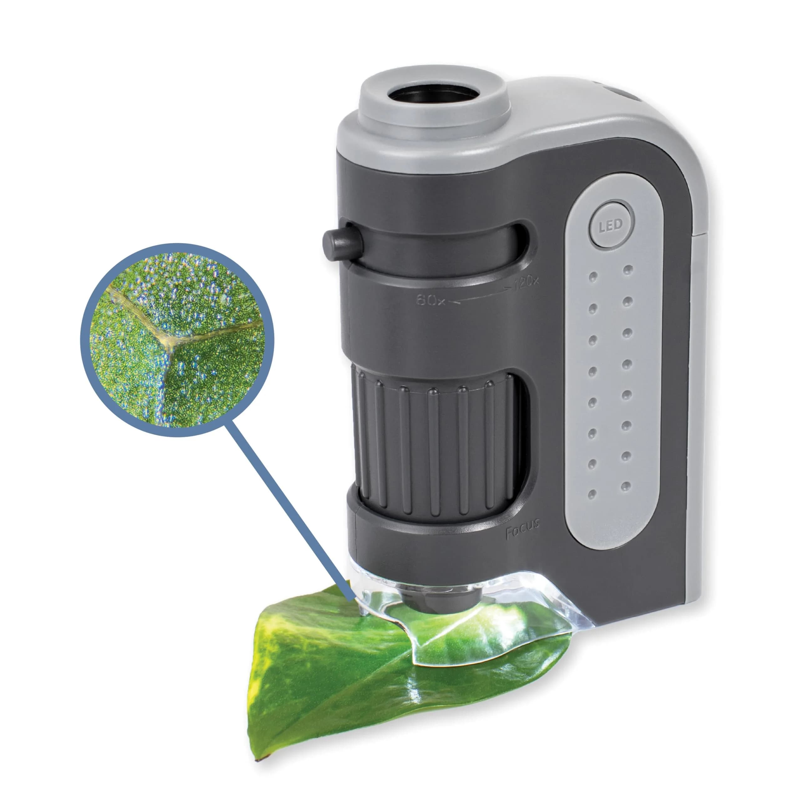 Carson MicroBrite Plus MM-300 Pocket Microscope 60x-120x Magnification | STEM Toy for Students - main product image