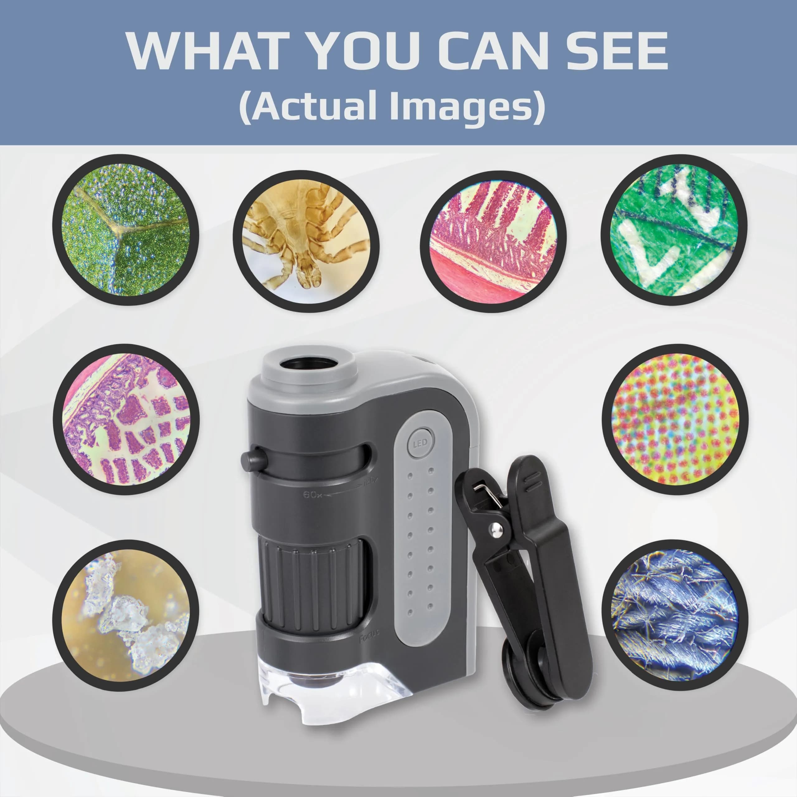 Carson MicroBrite Plus MM-300 Pocket Microscope 60x-120x Magnification | STEM Toy for Students - view 3
