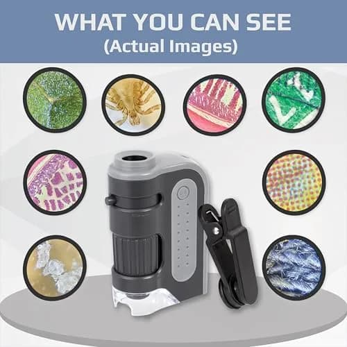 Carson MicroBrite Plus MM-300 Pocket Microscope 60x-120x Magnification | STEM Toy for Students thumbnail 3