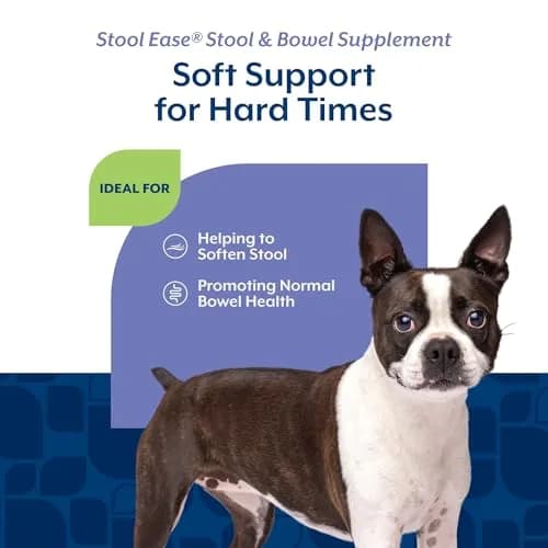 NaturVet Stool Ease Supplement for Dogs – 40 Soft Chews | Supports Normal Bowel Function thumbnail 4