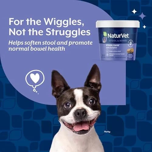 NaturVet Stool Ease Supplement for Dogs – 40 Soft Chews | Supports Normal Bowel Function thumbnail 3