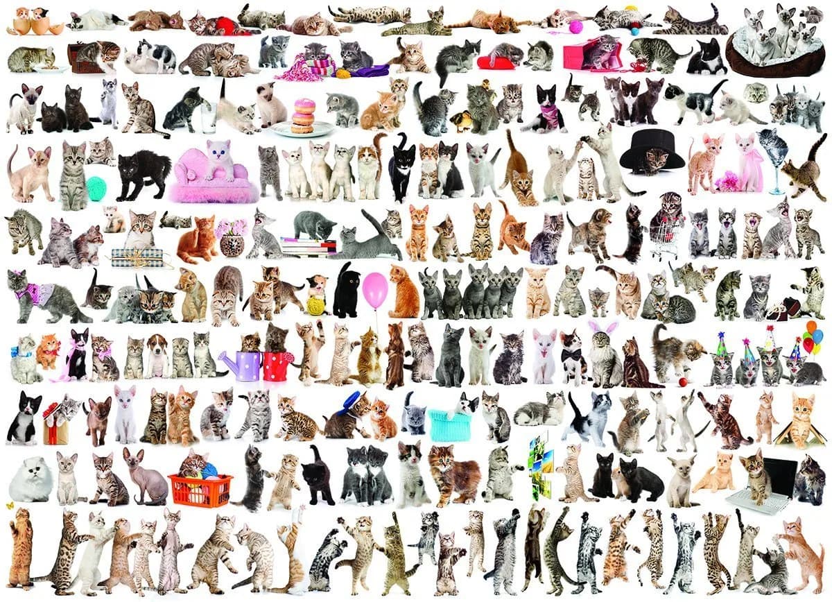 EuroGraphics World of Cats Jigsaw Puzzle 1000 Pieces | Educational STEM Toy - main product image