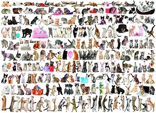 EuroGraphics World of Cats Jigsaw Puzzle 1000 Pieces | Educational STEM Toy thumbnail 1
