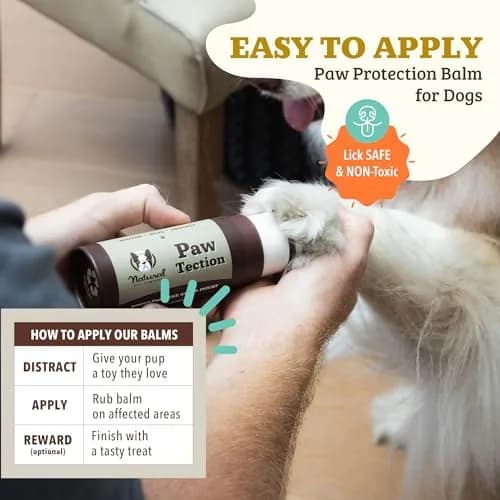 Natural Dog Company PawTection Dog Paw Wax – 2 oz Stick | Lick Safe, All-Natural Paw Protector for Hot Pavement & Rough Terrain thumbnail 4