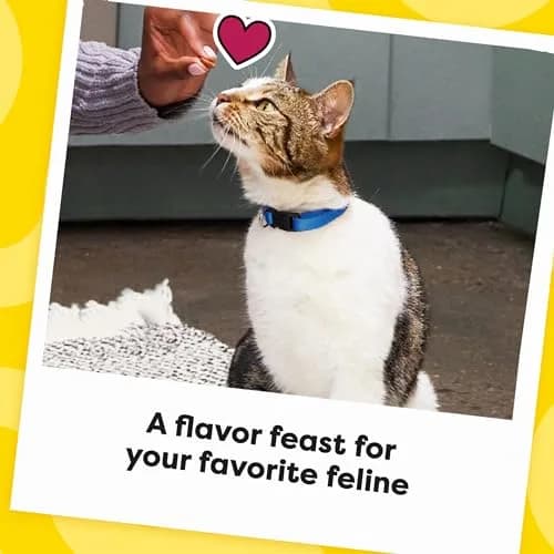 Temptations MixUps Crunchy and Soft Cat Treats, Cookout Flavor, 454g (16 oz) | Trifecta of Chicken, Liver & Beef Flavors thumbnail 9