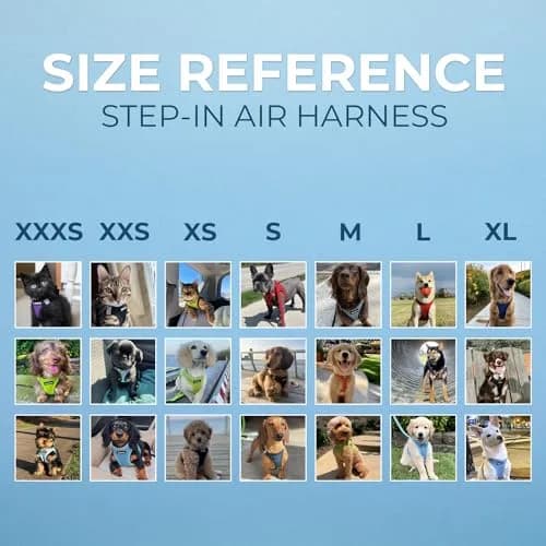 Best Pet Supplies Voyager Step-in Air Dog Vest Harness - Pink/Black, XS | Breathable, Reflective & Easy Fit thumbnail 5