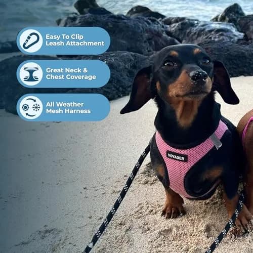 Best Pet Supplies Voyager Step-in Air Dog Vest Harness - Pink/Black, XS | Breathable, Reflective & Easy Fit thumbnail 2