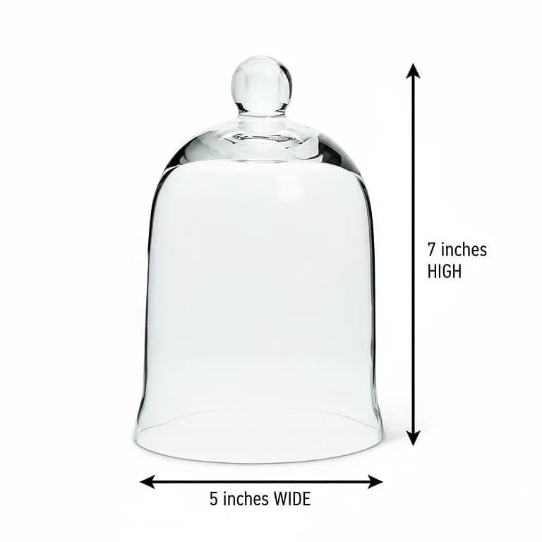 Abbott Collection Small Bell Shaped Glass Cloche 7" | Elegant Display for Home & Gifts thumbnail 2
