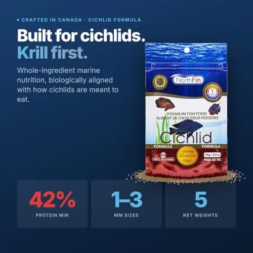 NorthFin Cichlid Fish Food, Slow-Sinking Pellets, 1mm, 100g | Natural Colour & Health Support thumbnail 3