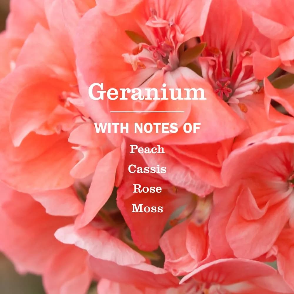 Mrs. Meyer's Clean Day Geranium Scent Hand Soap 375ml (12.5 Fl Oz) | Moisturizing Liquid Hand Soap for Soft Hands - view 2