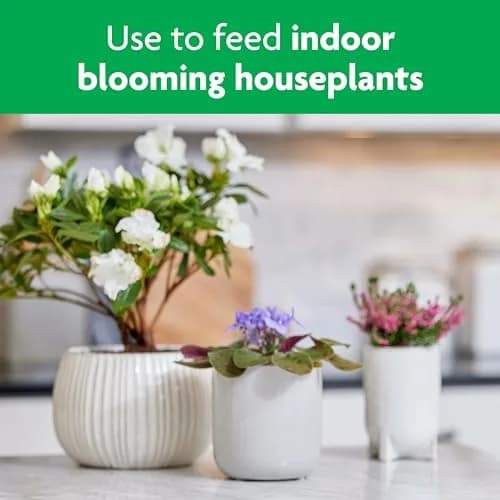 Miracle-Gro Blooming Houseplant Food, 237ml (8 fl. oz.) | Promotes More Blooms Instantly thumbnail 5