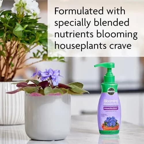 Miracle-Gro Blooming Houseplant Food, 237ml (8 fl. oz.) | Promotes More Blooms Instantly thumbnail 6