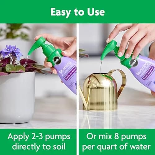 Miracle-Gro Blooming Houseplant Food, 237ml (8 fl. oz.) | Promotes More Blooms Instantly thumbnail 7