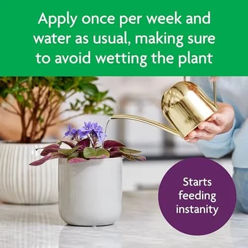 Miracle-Gro Blooming Houseplant Food, 237ml (8 fl. oz.) | Promotes More Blooms Instantly thumbnail 8